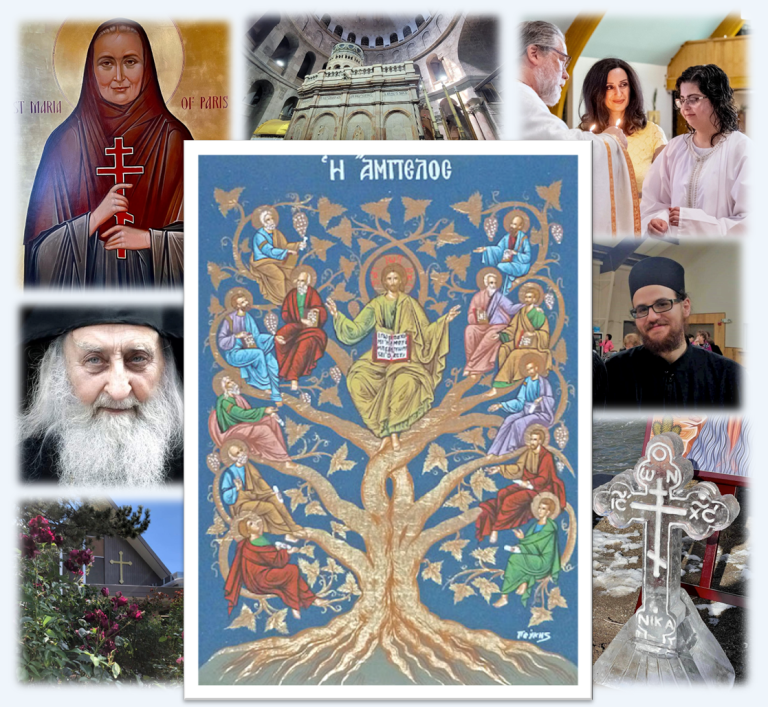 greek orthodox church of america.png